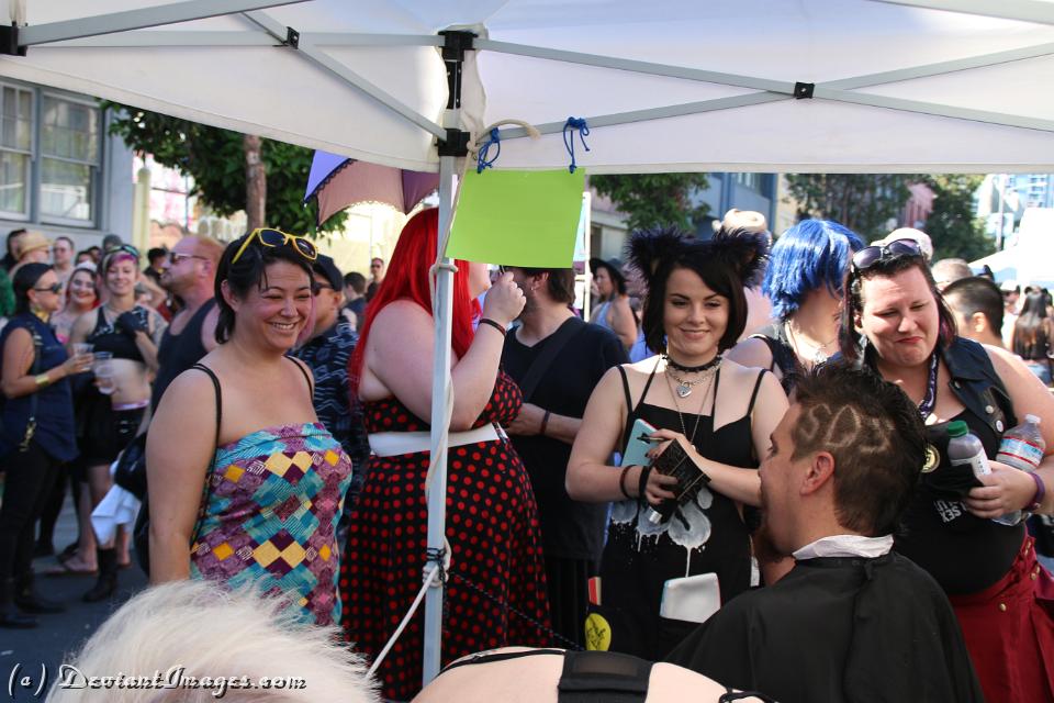 IMG 4263