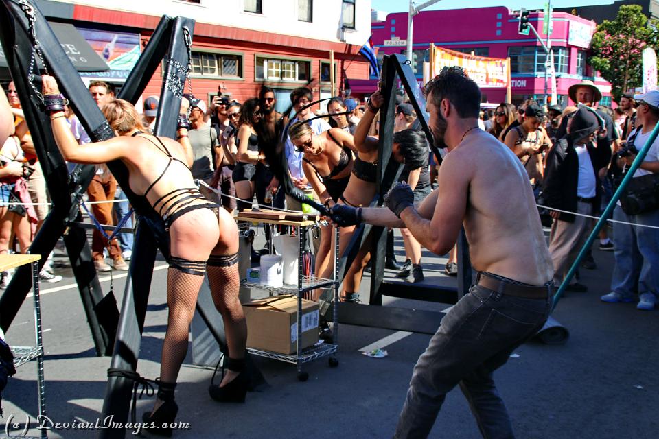 IMG 4297