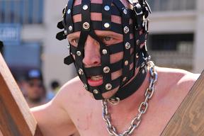 IMG 4233