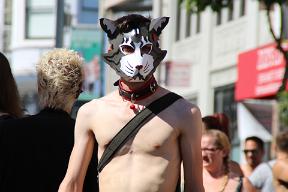 IMG 4282