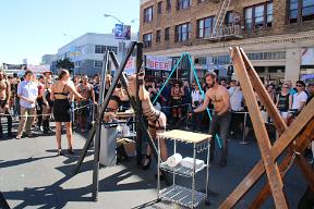 IMG 4286