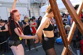 IMG 4291