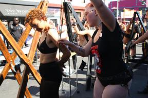 IMG 4295