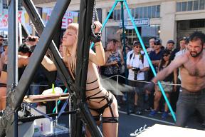 IMG 4337