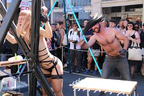 IMG 4341