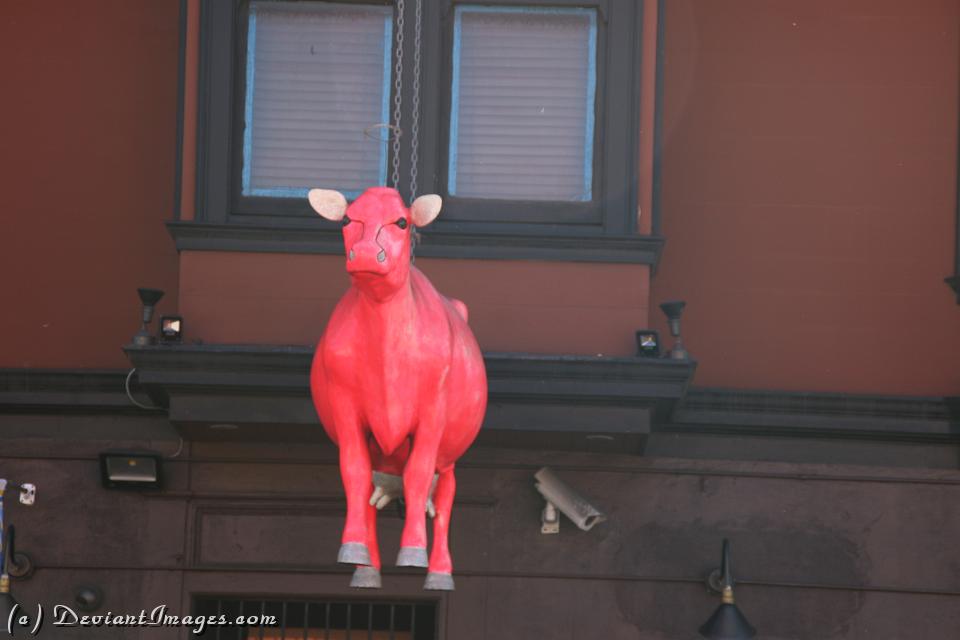 IMG 3738