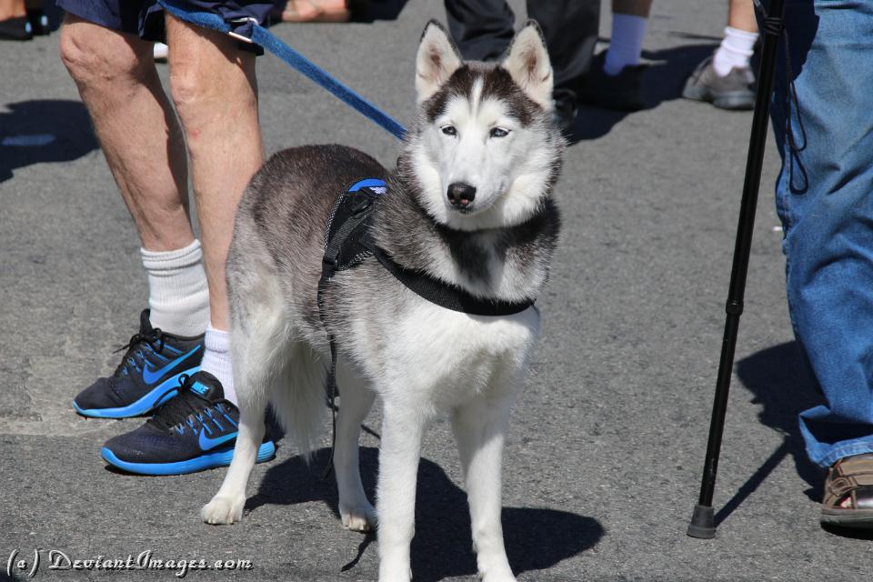 IMG 3831