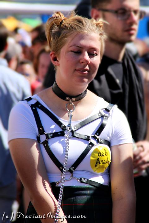 IMG 4236